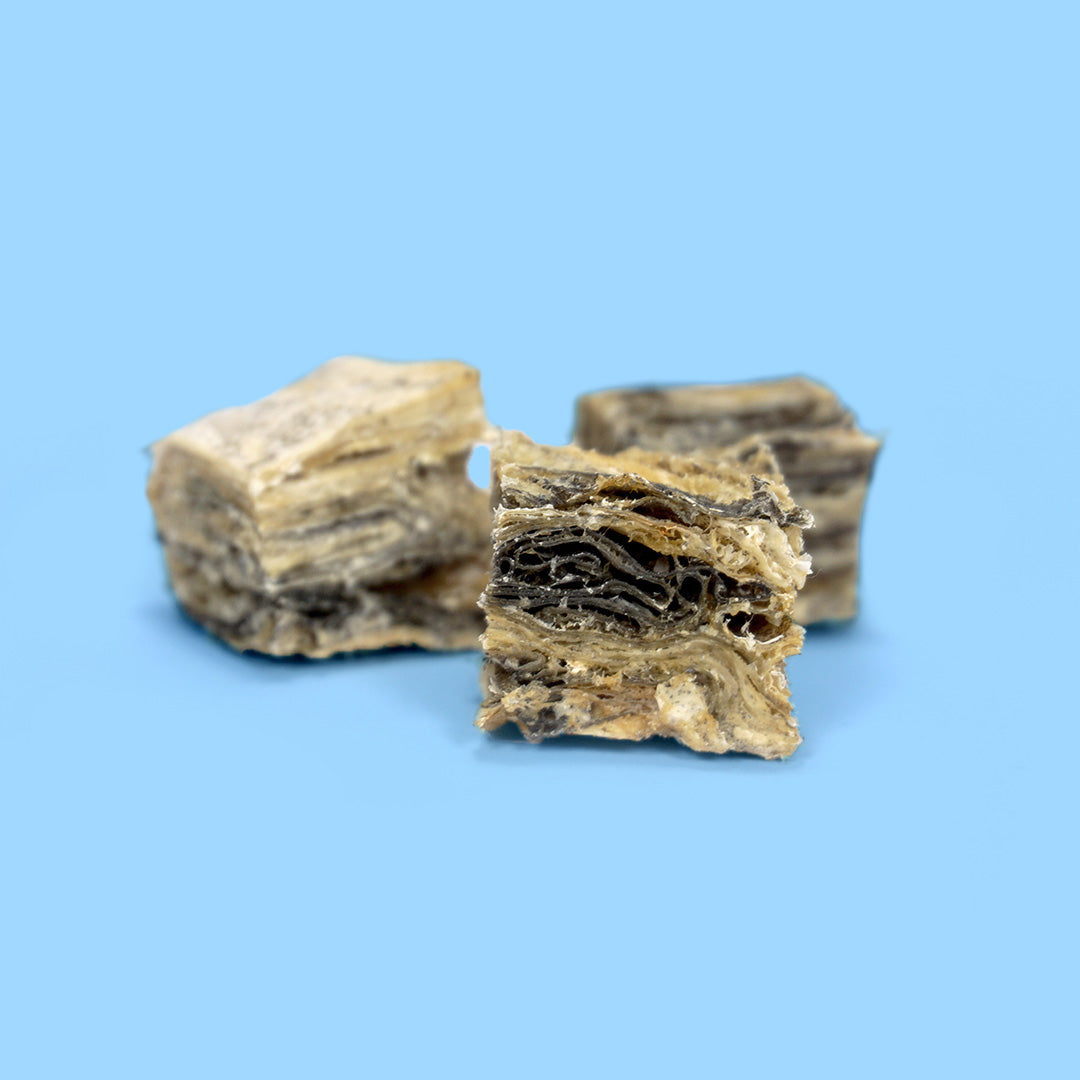 Two Fish Skin Cubes Skipper's Dog Treats on a blue background
