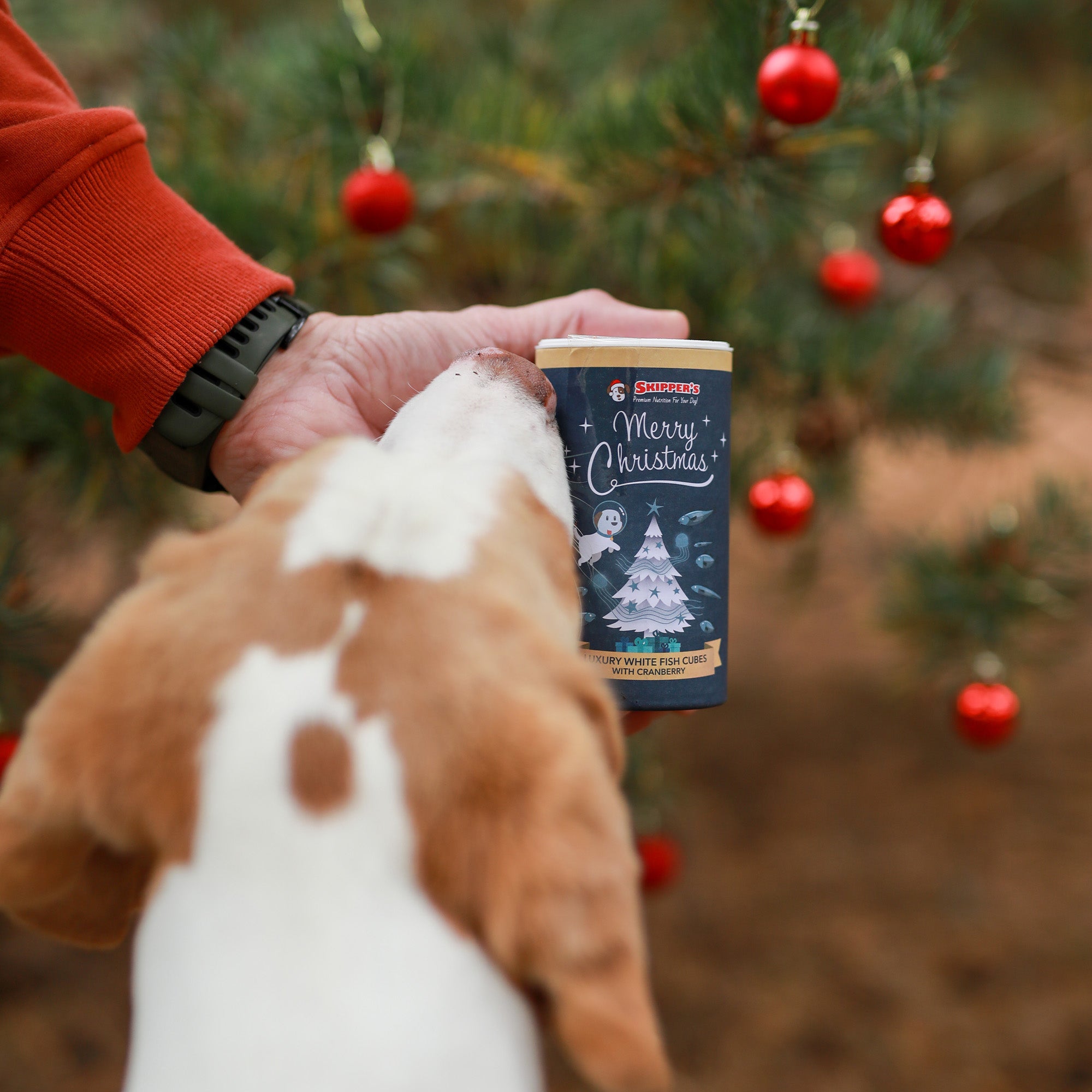 Dog next to christmas tree with Skipper's christmas luxury cubes with cranberry