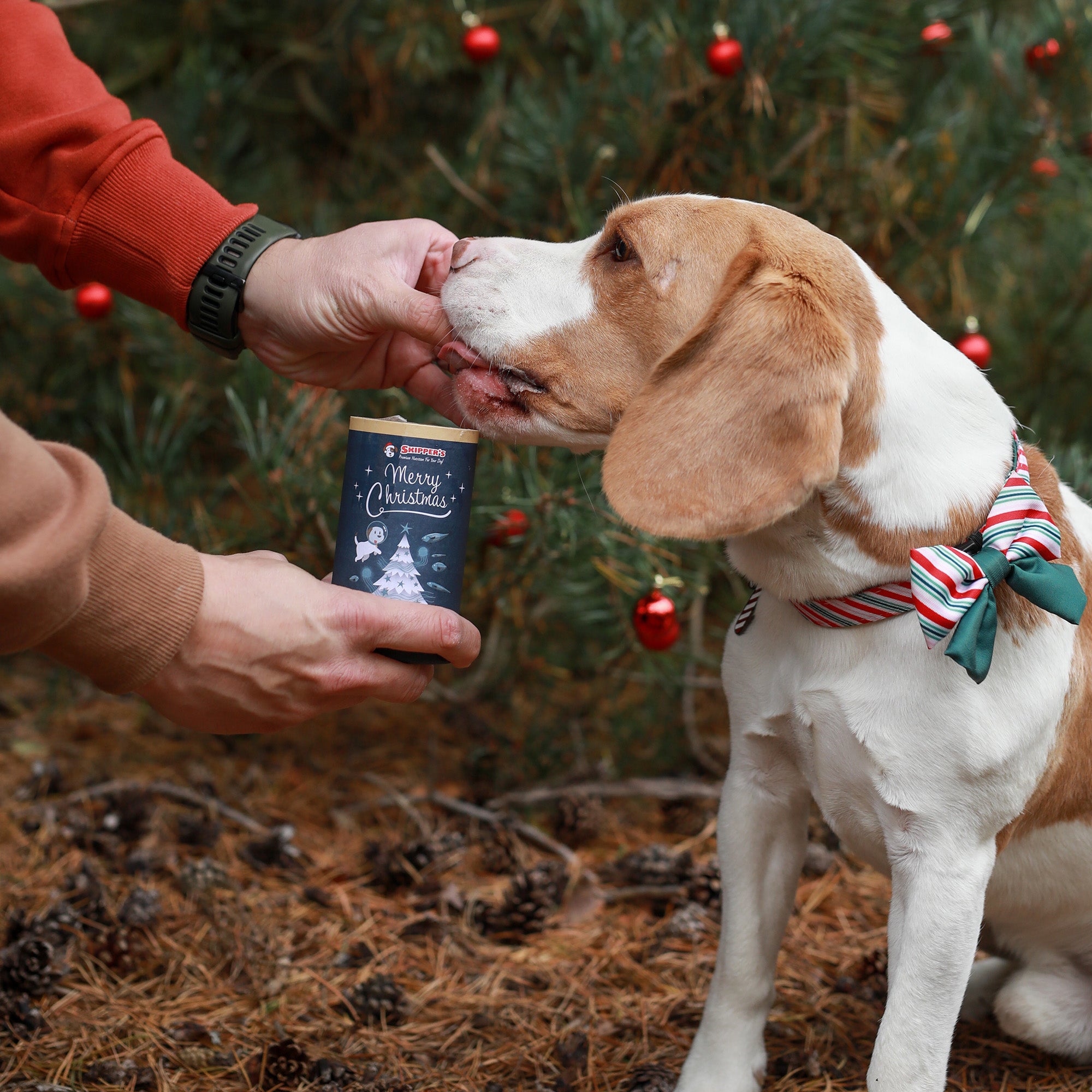 Dog next to christmas tree with Skipper's luxury whitefish cubes with cranberry being fed to them