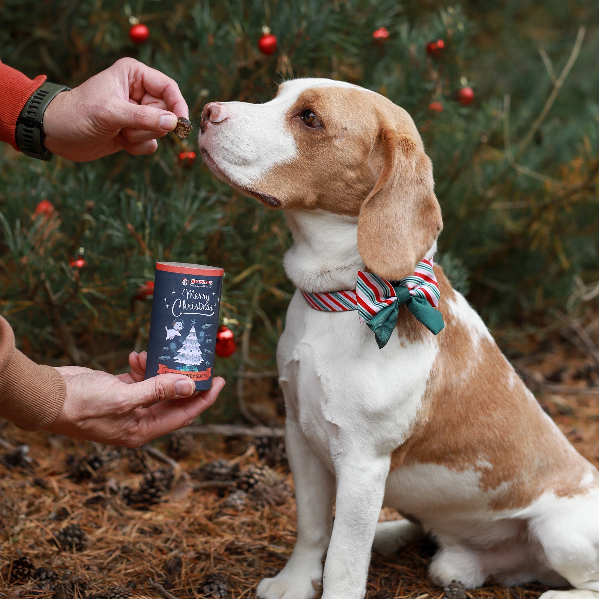 Dog next to christmas tree with Skipper's christmas tasty turkey slices being fed to him