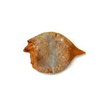 Baked Squid Bites - Skipper's Pet Products