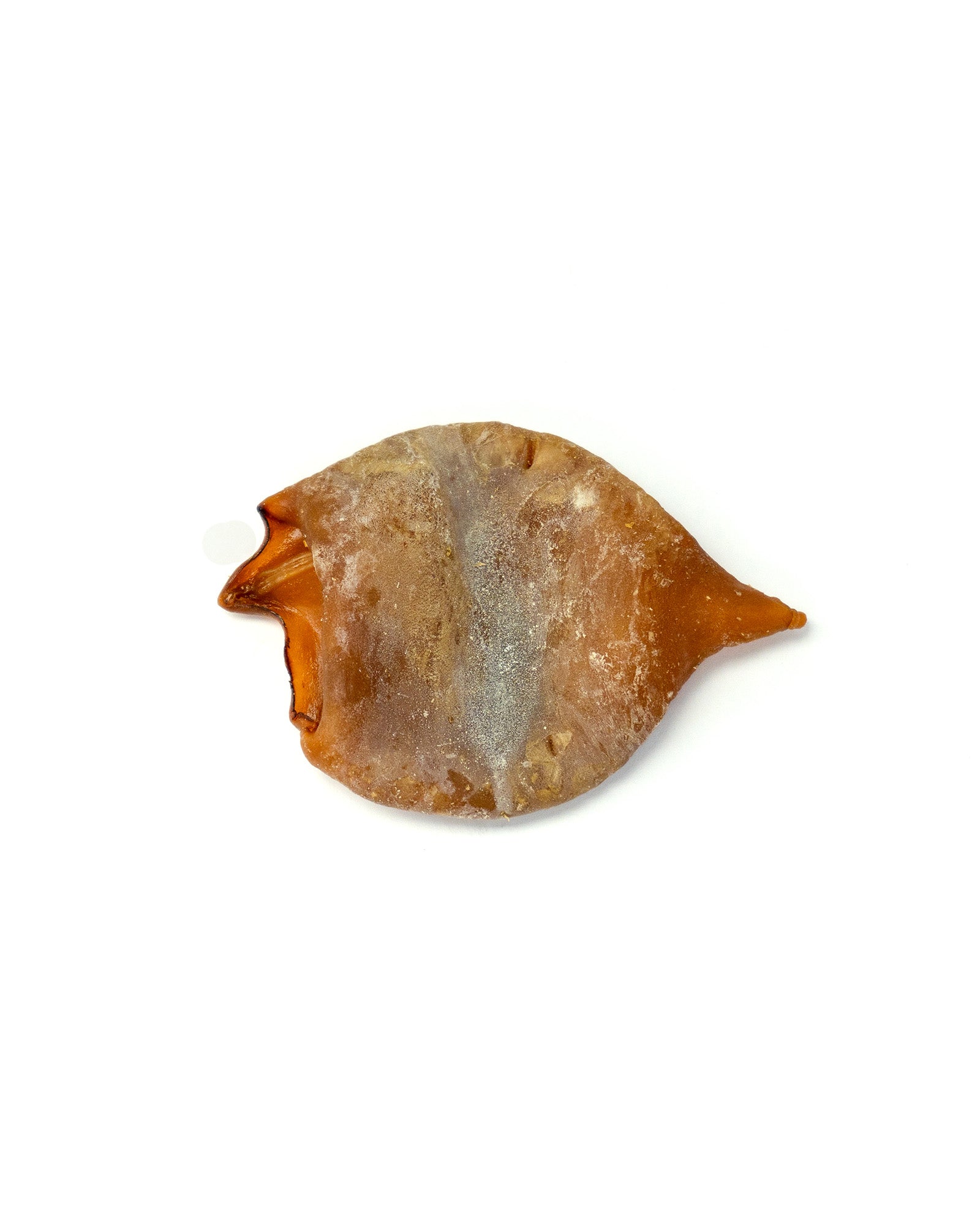 Baked Squid Bites - Skipper's Pet Products