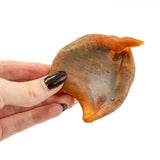 Baked Squid Bites - Skipper's Pet Products