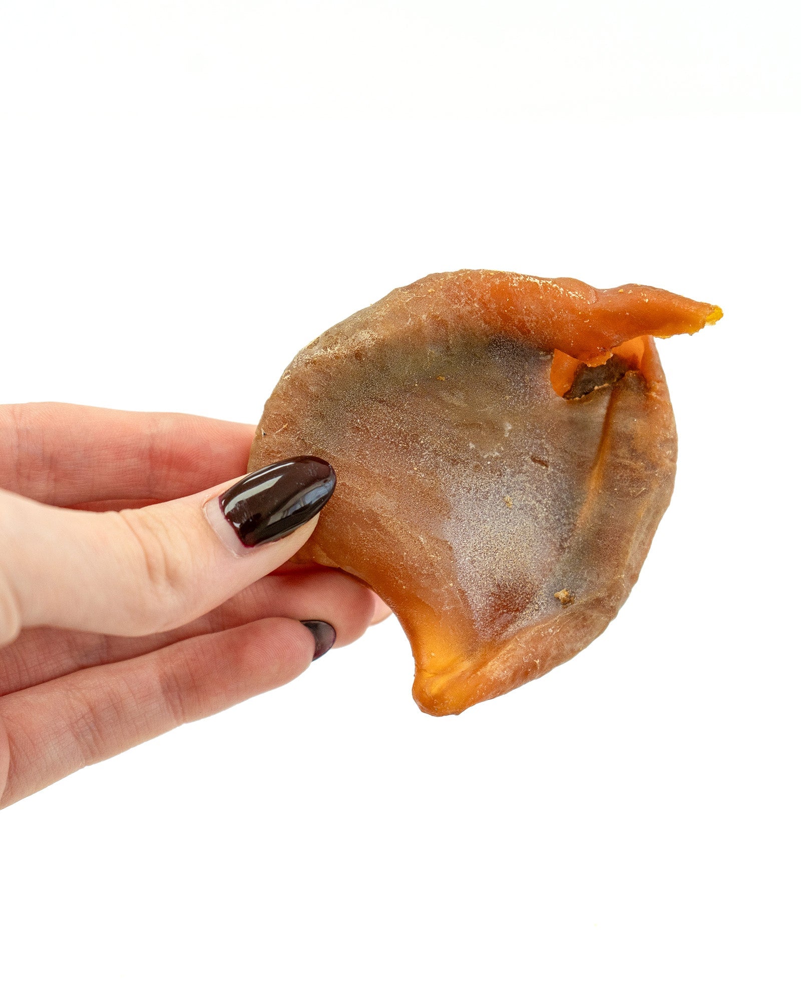 Baked Squid Bites - Skipper's Pet Products