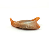 Baked Squid Bites - Skipper's Pet Products