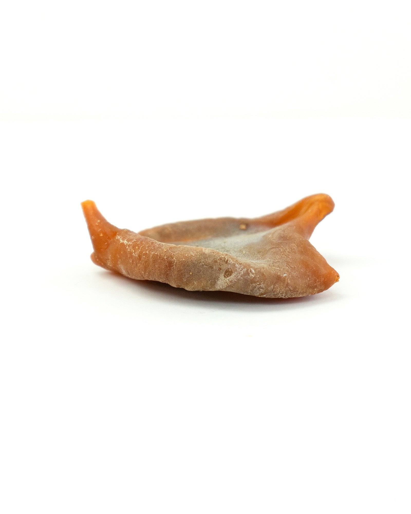 Baked Squid Bites - Skipper's Pet Products
