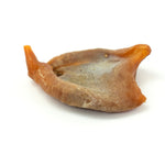 Baked Squid Bites - Skipper's Pet Products