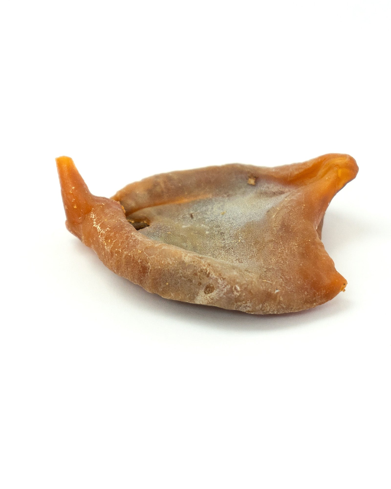 Baked Squid Bites - Skipper's Pet Products