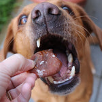 Baked Squid Bites - Skipper's Pet Products