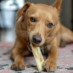Beef Scalp - Skipper's Pet Products