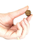 Beef Slices with Carrot & Turmeric - Skipper's Pet Products