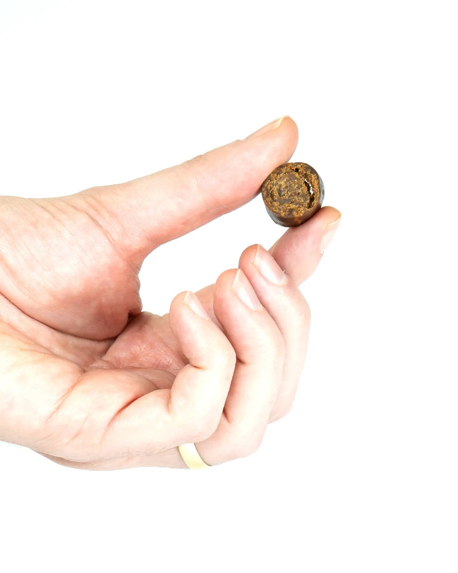 Beef Slices with Carrot & Turmeric - Skipper's Pet Products