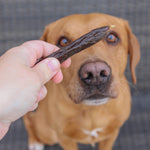 Beef with Carrot & Turmeric Sausages - Skipper's Pet Products