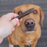 Beef with Carrot & Turmeric Sausages - Skipper's Pet Products