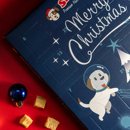 Christmas Advent Calendar