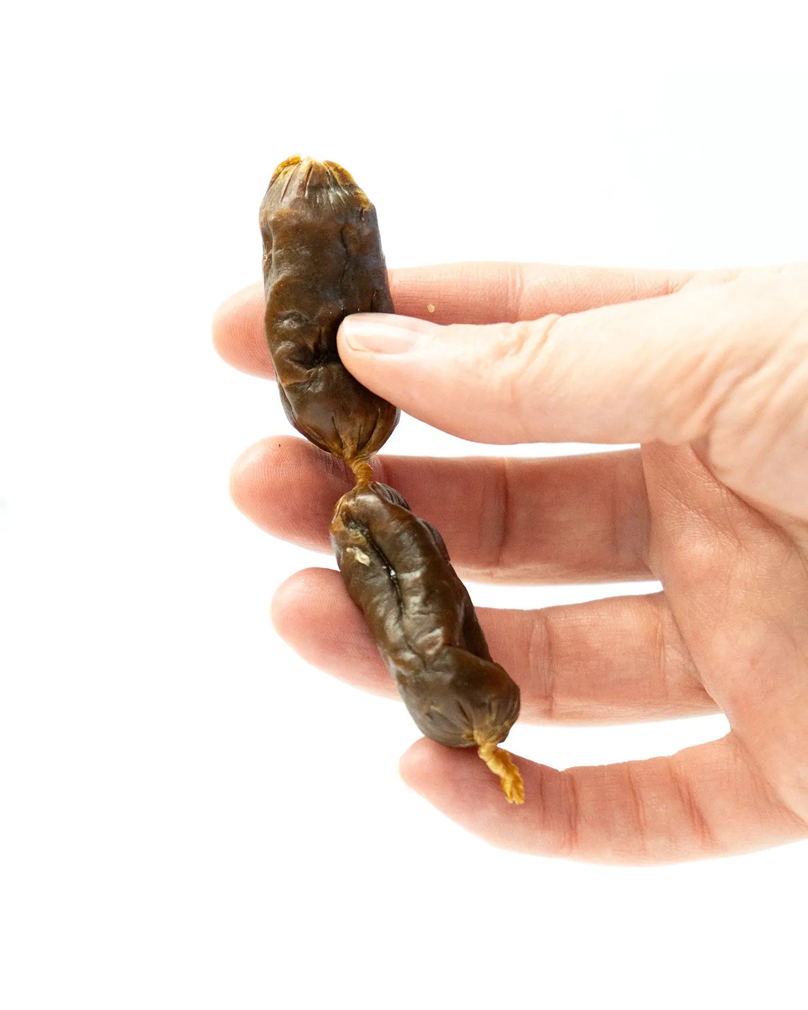 Chicken with Pumpkin & Turmeric Sausages - Skipper's Pet Products