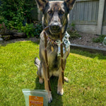 Chicken with Pumpkin & Turmeric Sausages - Skipper's Pet Products