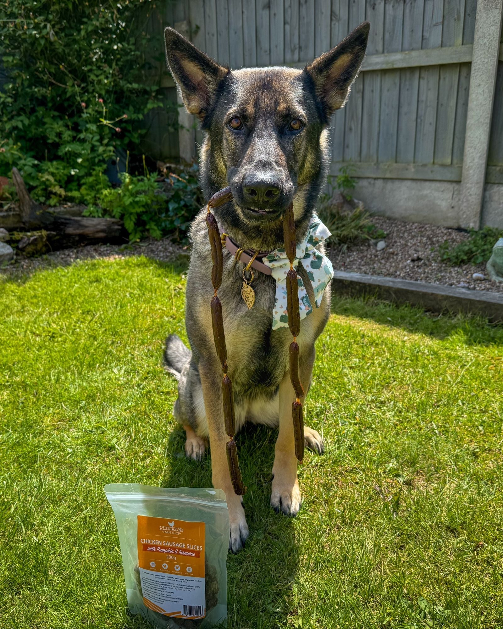 Chicken with Pumpkin & Turmeric Sausages - Skipper's Pet Products