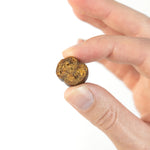 Chicken with Pumpkin & Turmeric Slices - Skipper's Pet Products