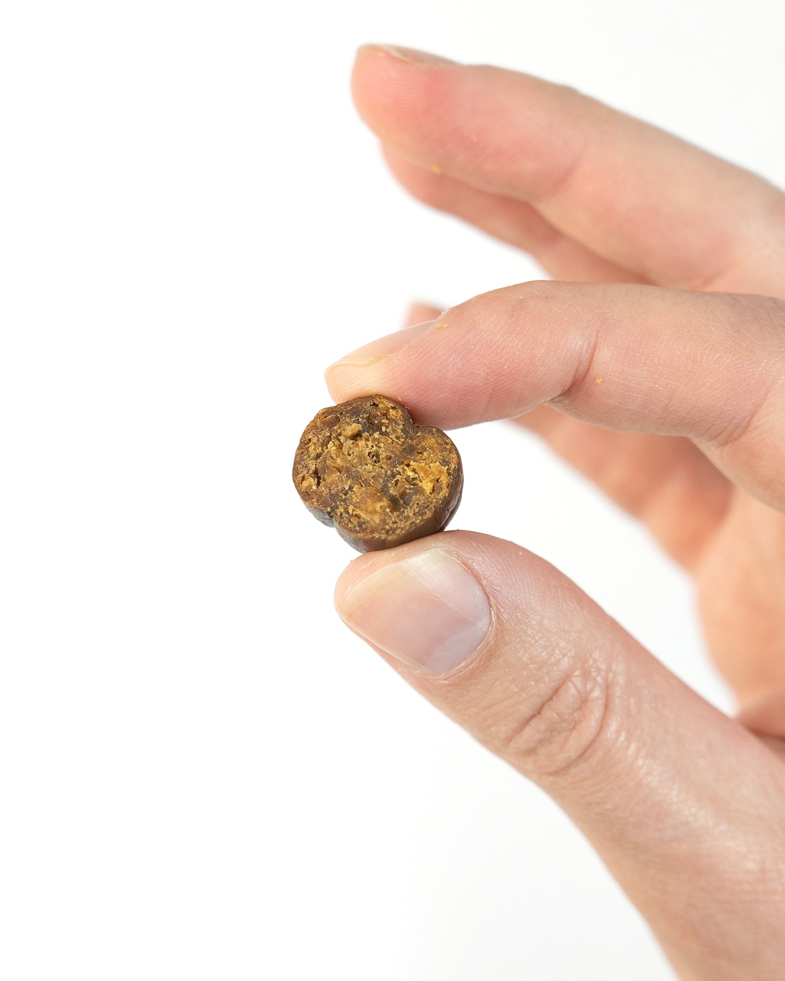 Chicken with Pumpkin & Turmeric Slices - Skipper's Pet Products