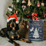 Christmas Advent Calendar - Skipper's Pet Products