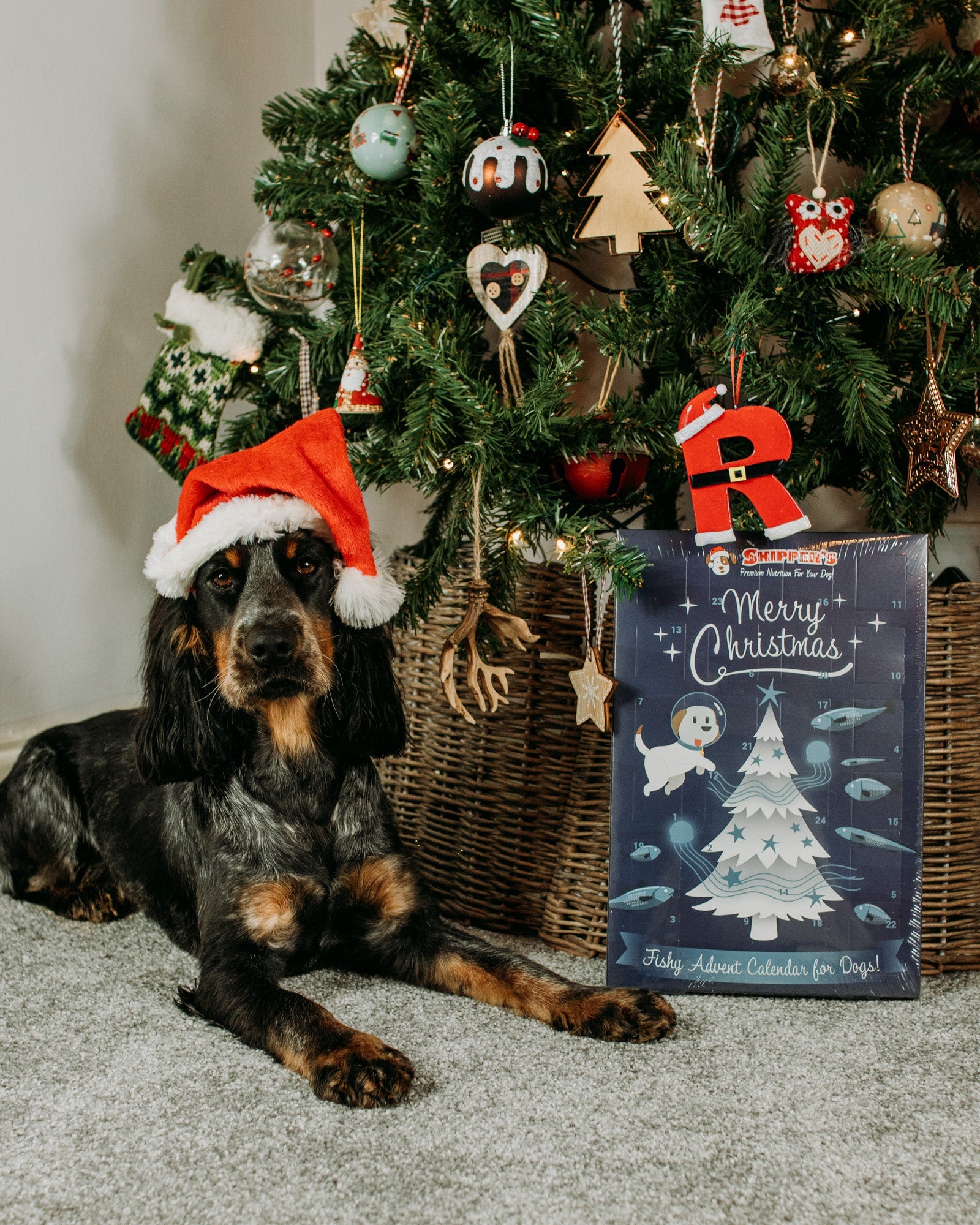 Christmas Advent Calendar - Skipper's Pet Products