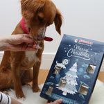 Christmas Advent Calendar - Skipper's Pet Products