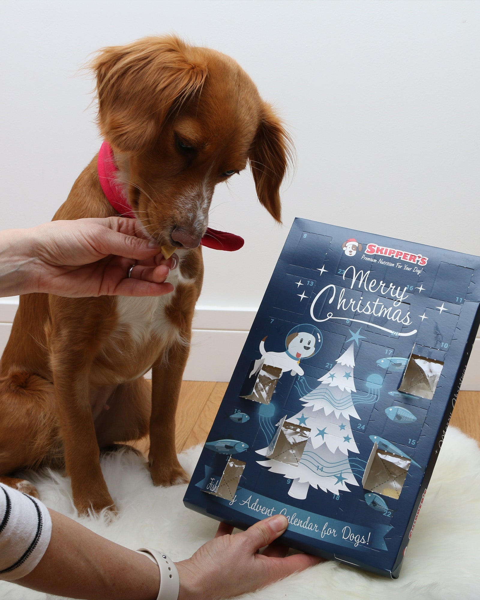 Christmas Advent Calendar - Skipper's Pet Products