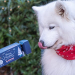 Christmas Cracker with Fish Skin Flatties - Skipper's Pet Products