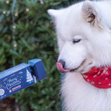 Christmas Cracker with Fish Skin Flatties - Skipper's Pet Products