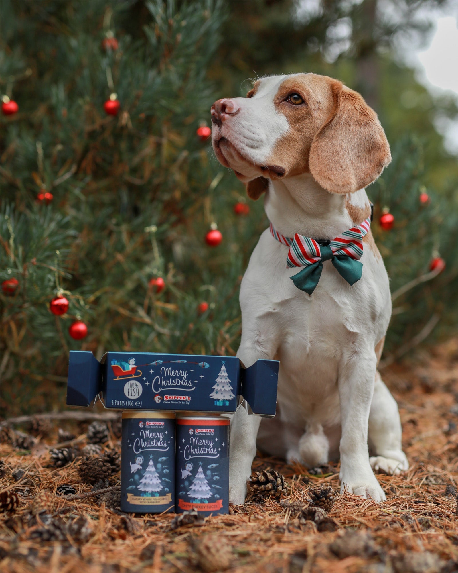 Christmas Treat Bundle - Skipper's Pet Products