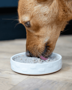 Cod Pate - Skipper's Pet Products