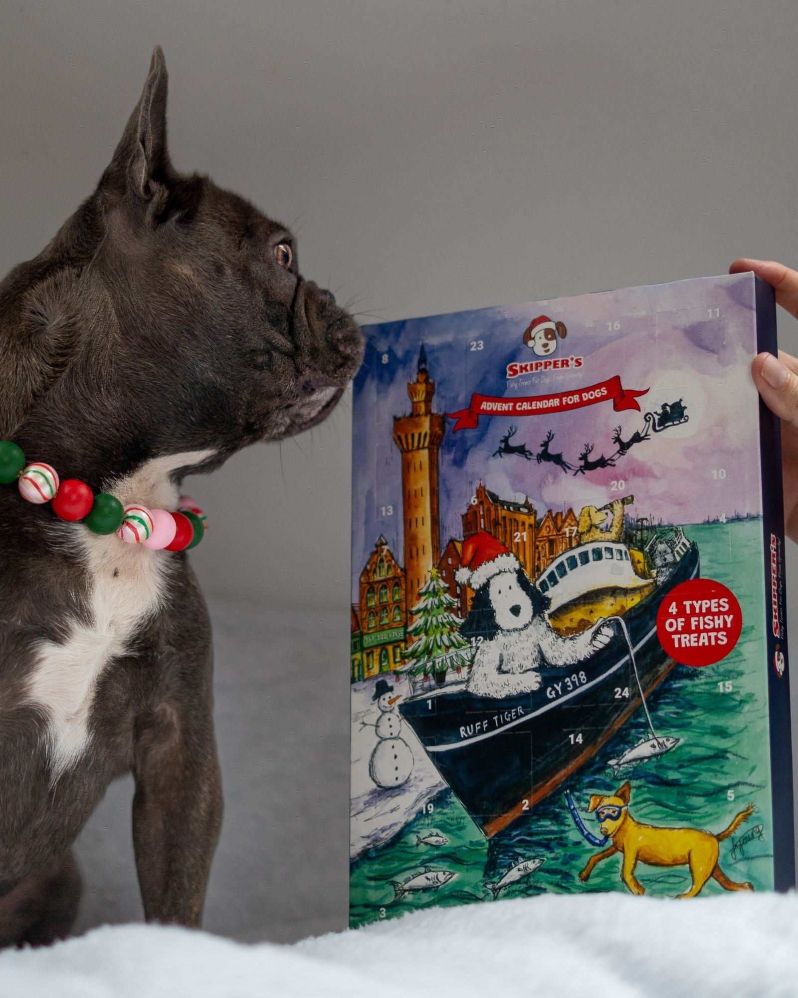 Dog Advent Calendar - Skipper's Pet Products