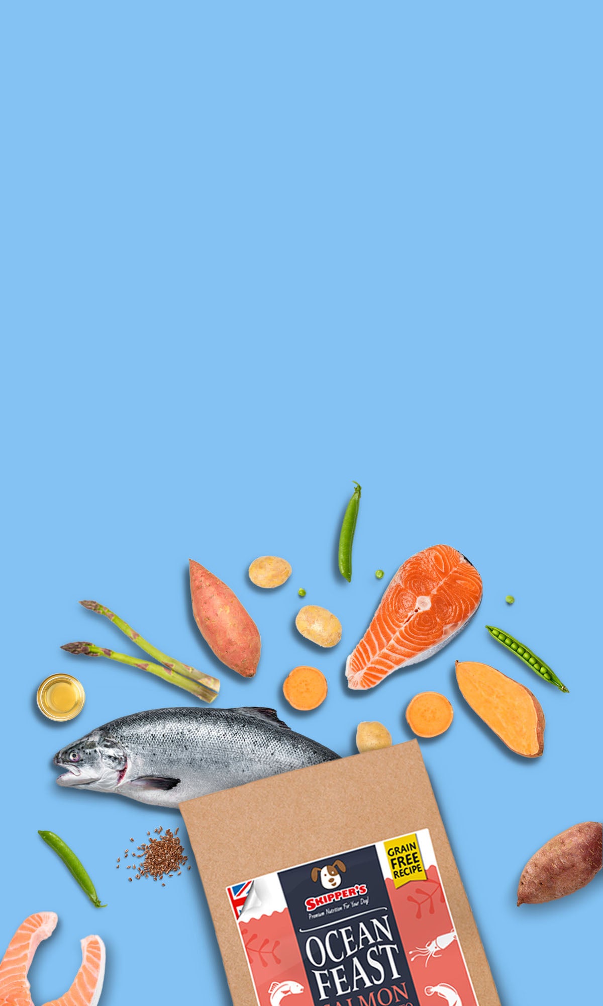 Ocean Feast salmon packaging with fish and vegetables on a blue background