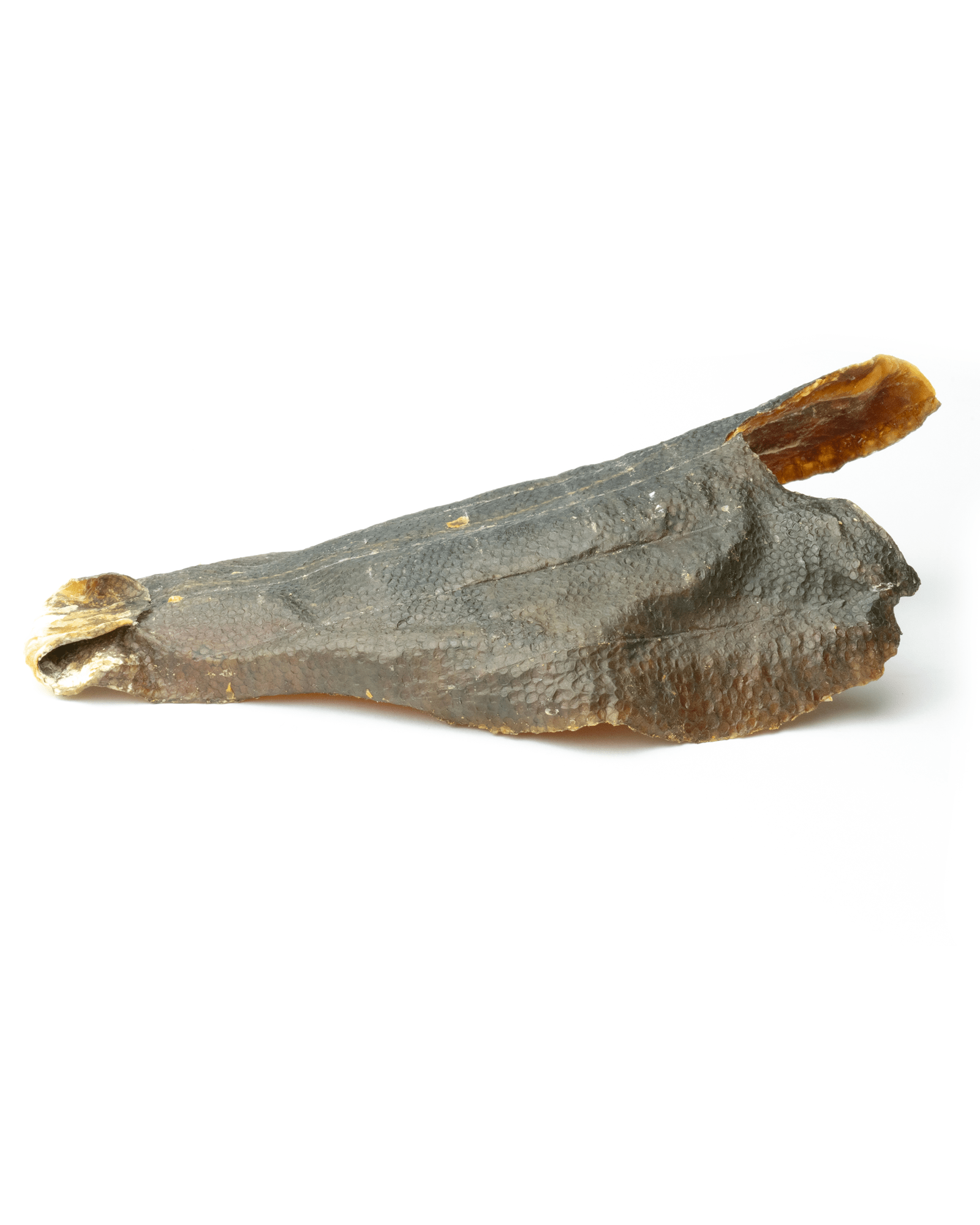 Dried Plaice Fillets - Skipper's Pet Products