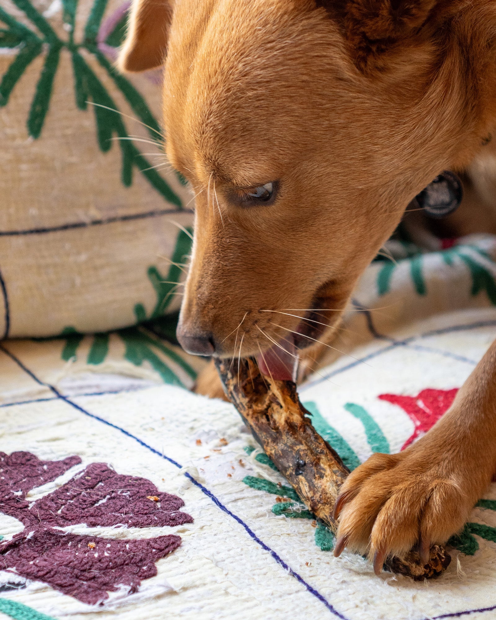 Duck Necks - Skipper's Pet Products