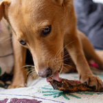 Duck Necks - Skipper's Pet Products
