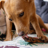 Duck Necks - Skipper's Pet Products