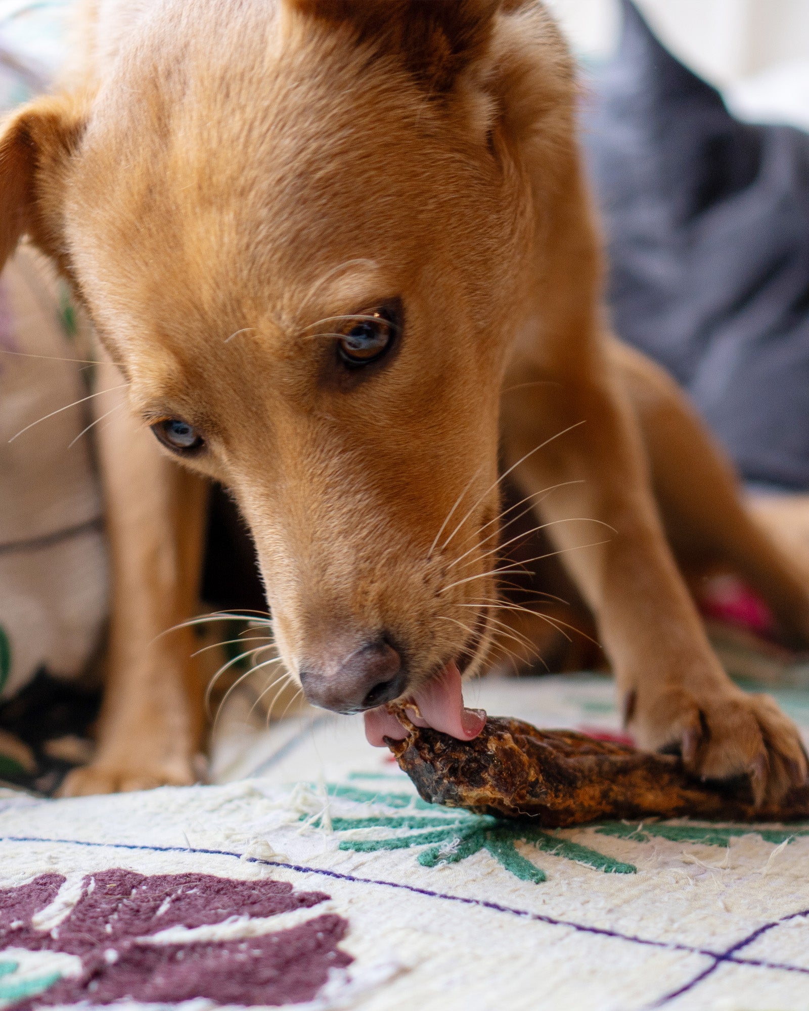 Duck Necks - Skipper's Pet Products