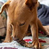 Duck Necks - Skipper's Pet Products
