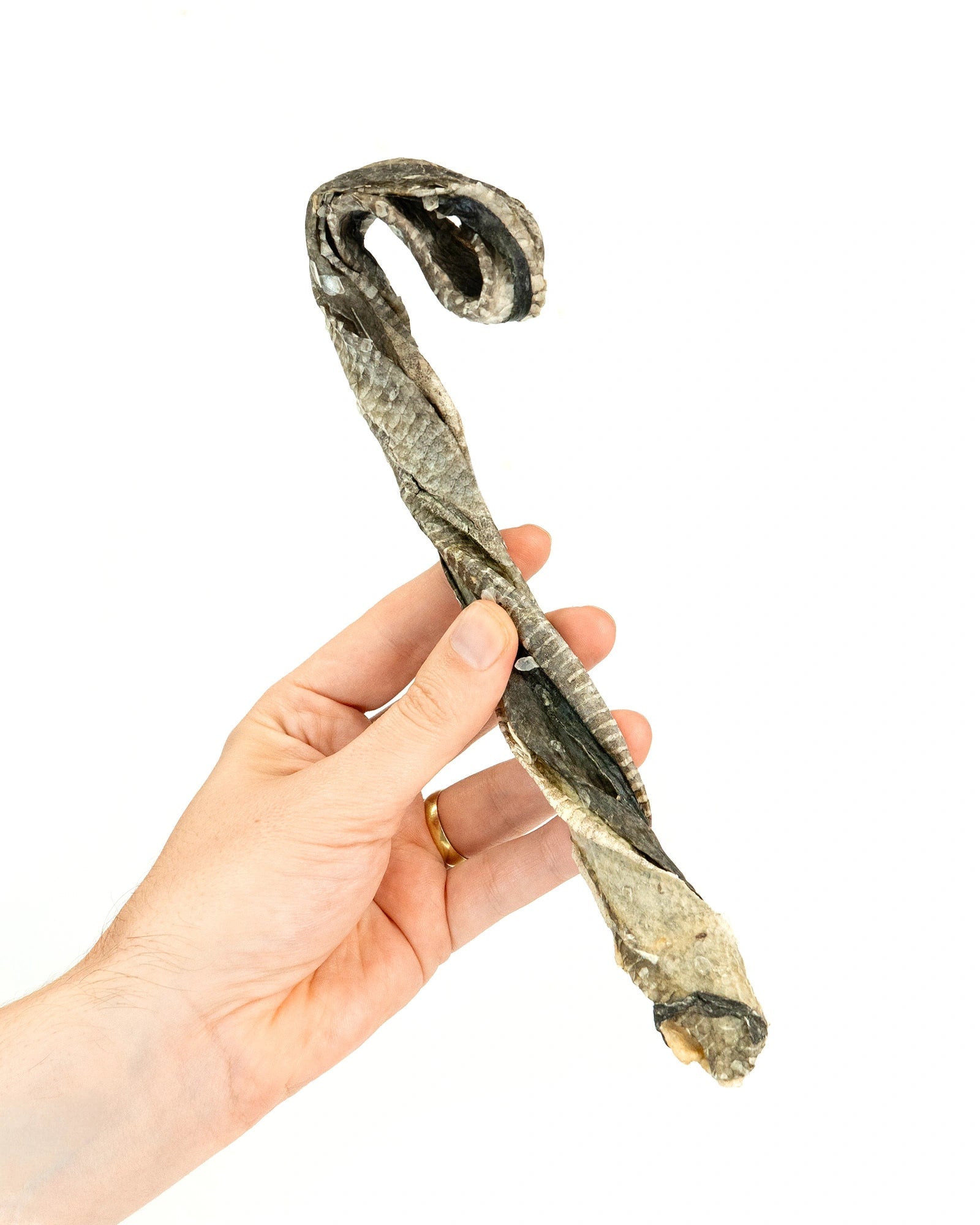 Fish Skin Candy Canes - Skipper's Pet Products
