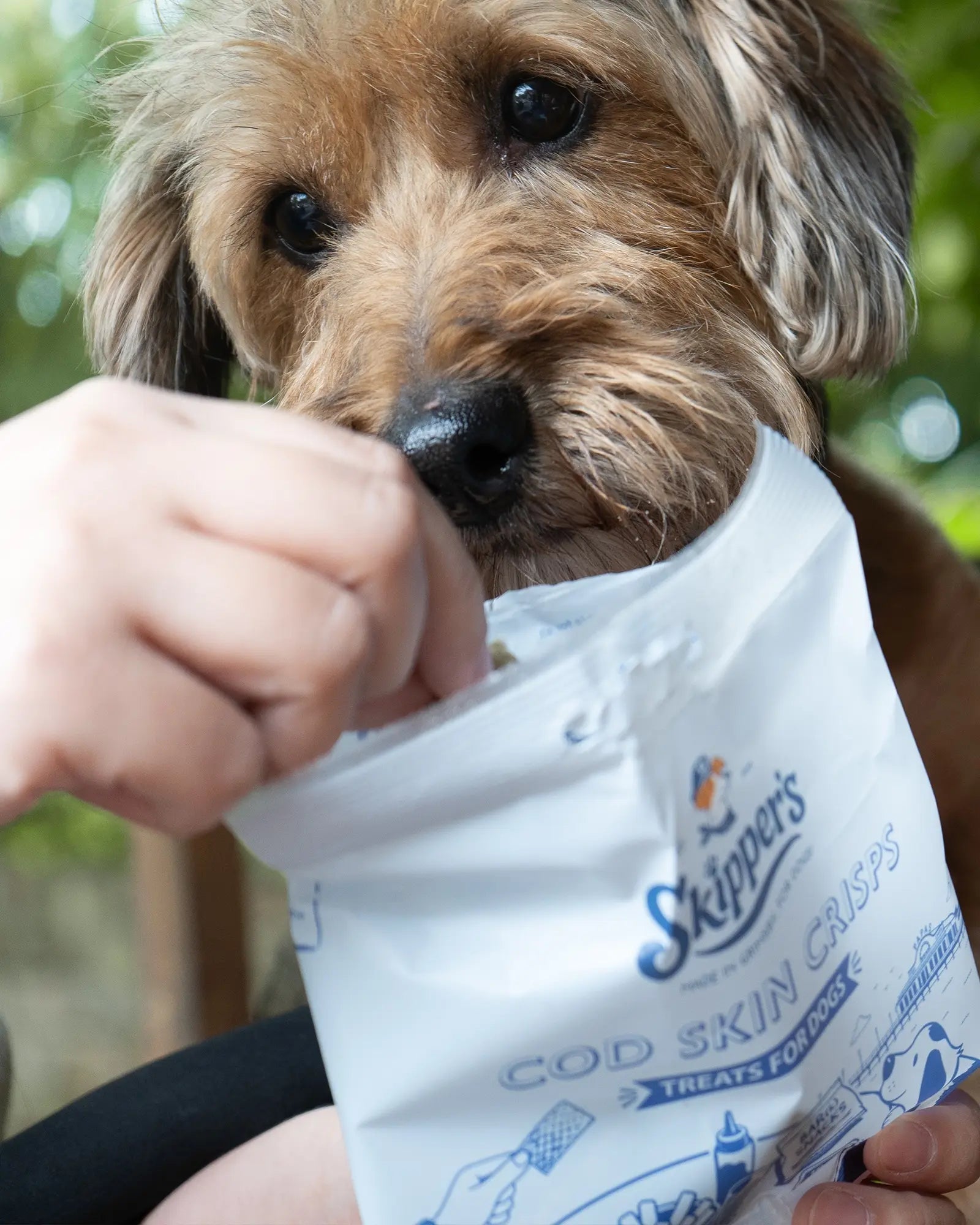 Fish Skin Crisps - Skipper's Pet Products