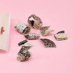 Fish Skin Crisps - Skipper's Pet Products
