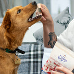 Fish Skin Crisps - Skipper's Pet Products