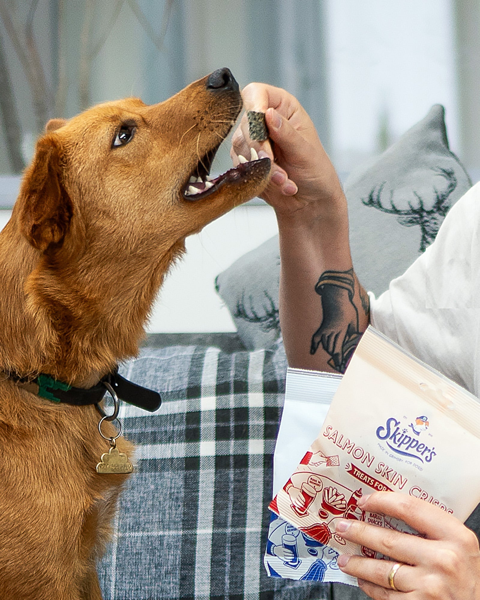 Fish Skin Crisps - Skipper's Pet Products