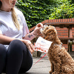 Fish Skin Crisps - Skipper's Pet Products
