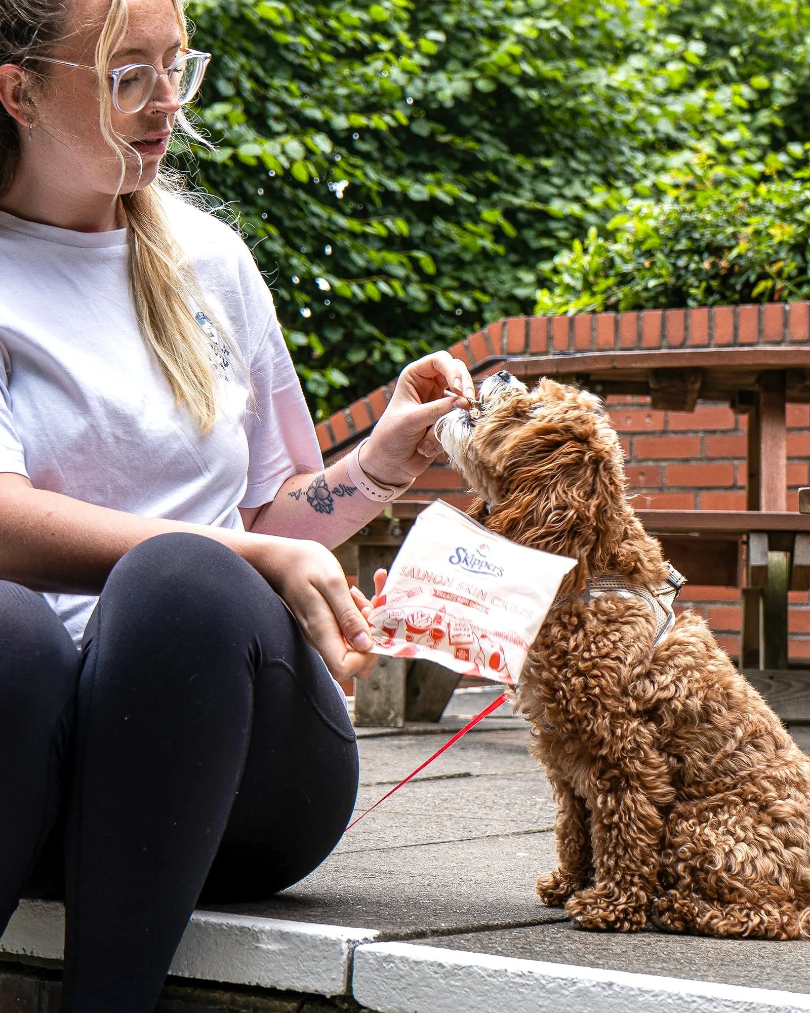 Fish Skin Crisps - Skipper's Pet Products
