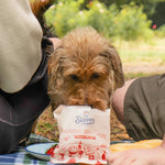 Fish Skin Crisps - Skipper's Pet Products