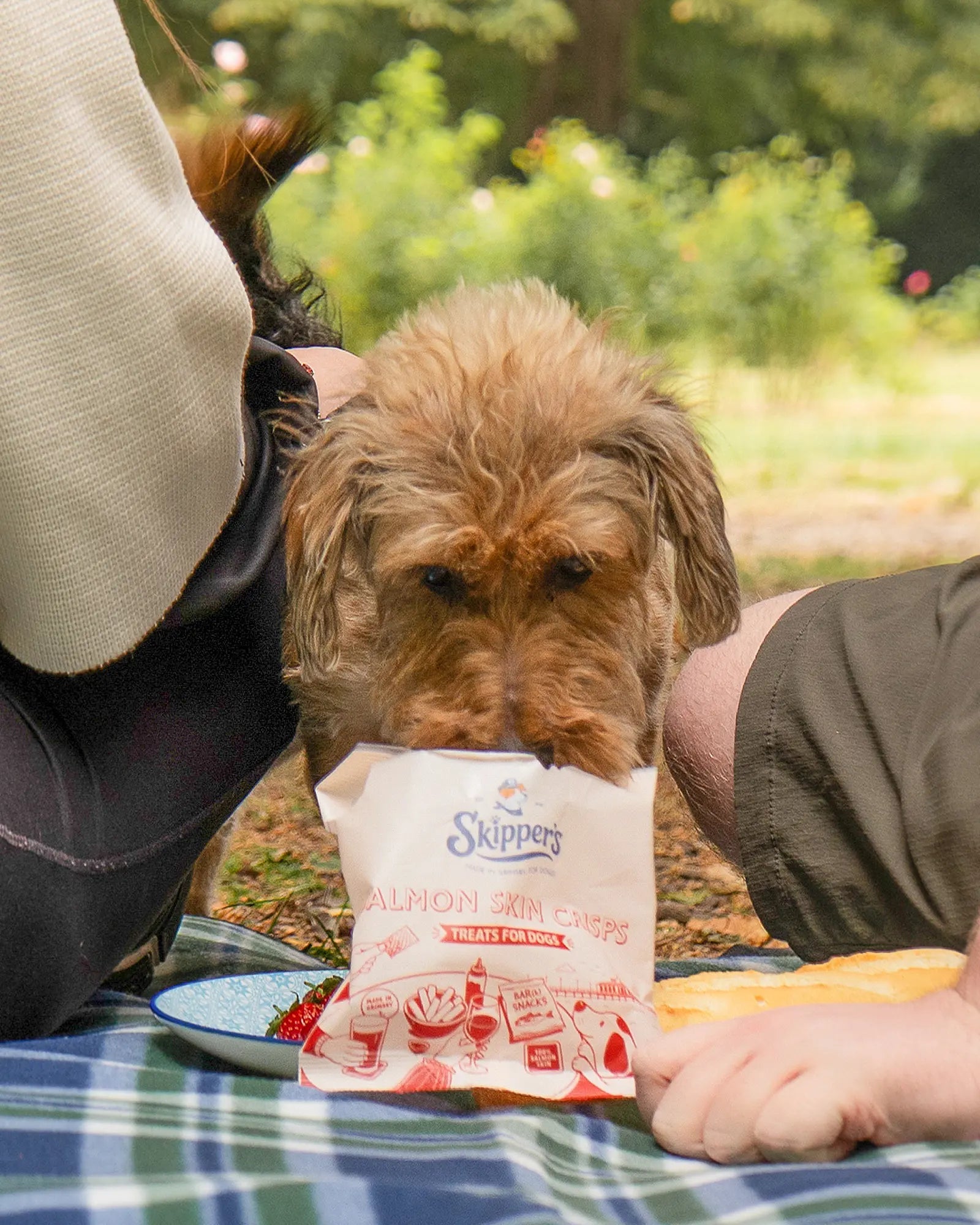 Fish Skin Crisps - Skipper's Pet Products