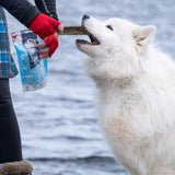 Fish Skin Flatties - Skipper's Pet Products